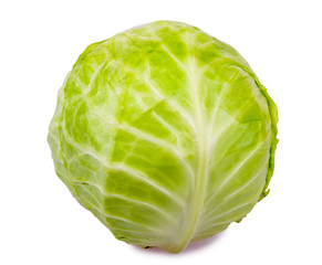 fresh organic cabbage