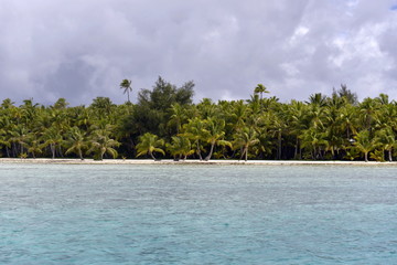 White Sand Beach in Polynesia