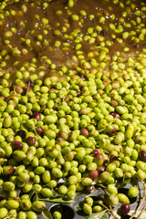 closeup of olives in a olive oil machine