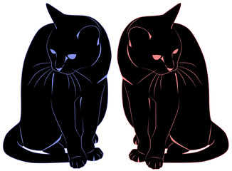 Two black cats