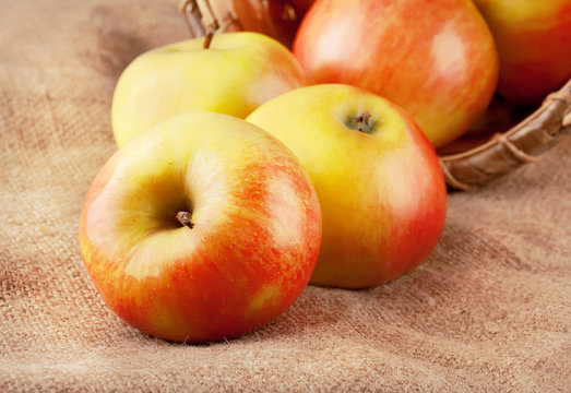 Beautiful ripe apples
