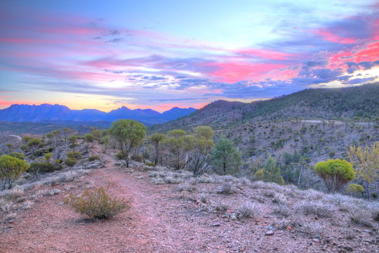 Flinders Ranges National Park, Australia