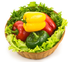 colorful sweet peppers are in a basket with lettuce