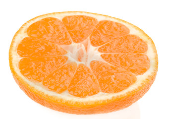 orange slices on white background
