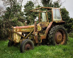 Obraz premium Forgotten Workhorse