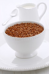 Delicious crisped rice chocolate cereal