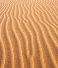 Fototapeta na wymiar Red Sand Dunes in Vietnam