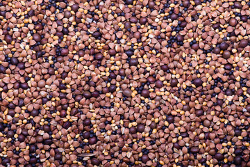 Background of mixed seeds. Pet food for birds.