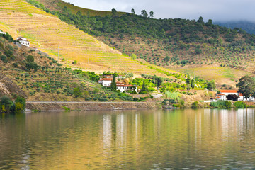 Fototapeta premium River Douro
