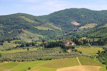 Toskana Weingut - Tuscany vineyard 05