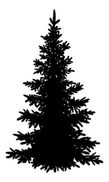 Christmas fir tree, silhouette