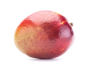 ripe mango