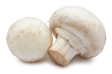 Champignon mushrooms
