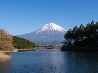 冠雪の富士山と田貫湖