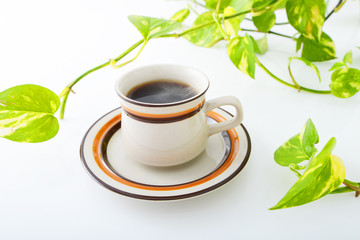 ホットコーヒーと植物