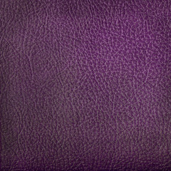 violet leather texture closeup