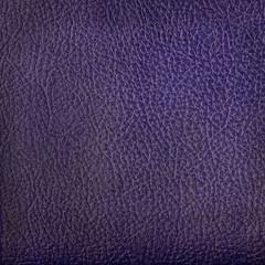 blue leather texture closeup