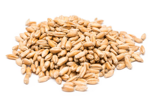Wheat Seeds On White Background