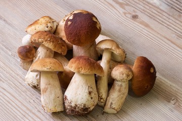 Natural white mushrooms on the table