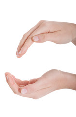 Fototapeta na wymiar Female's hands in a roung shape.