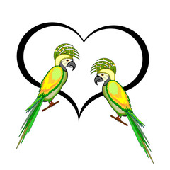 A couple of macaw parrots with a heart