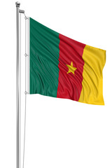 3D Flag of Cameroon