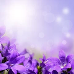 Crédence de cuisine en verre imprimé Printemps Abstract purple spring flowers background