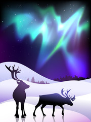 The aurora with a deers in the foreground