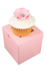 Cupcake on Box