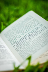 Book On The Grass