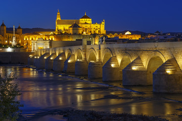 Obraz premium old roman bridge and tower Calahora at night, Cordoba