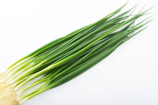 青ネギ