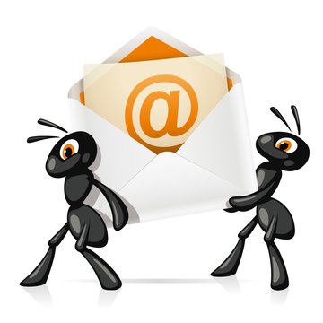 Ants e-Mail