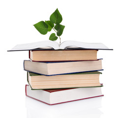 Books with plant isolated on white