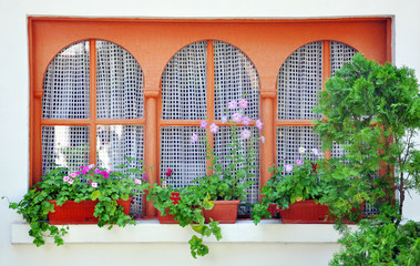 window with a pot of flowers on it