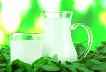 Pitcher and glass of milk on grass on nature background