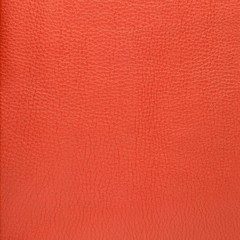 Fototapeta premium Red suede