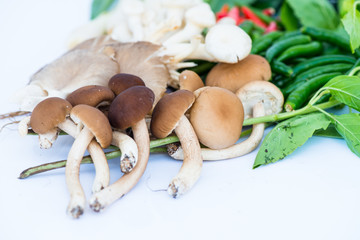 Fototapeta premium Traditional Vegetables for food in Thailand