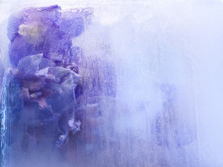 Background of   delphinium flower frozen in ice