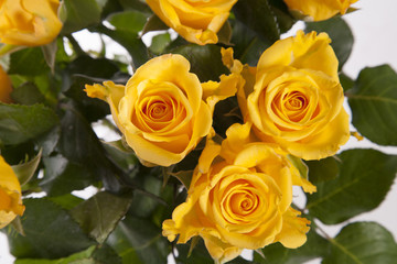 Naklejka premium yellow wedding roses