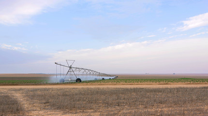 Watering machine in agriculture summer