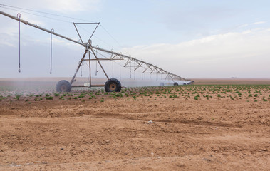 Watering machine in agriculture