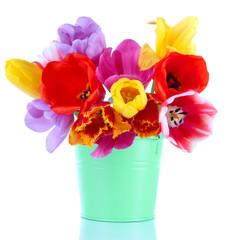 Beautiful tulips in bouquet isolated on white