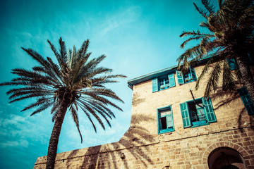House with palms in Jaffa,southern oldest part of Tel Aviv,Jaffa - obrazy, fototapety, plakaty