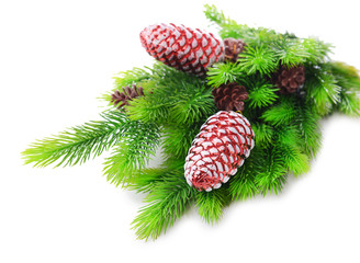 Christmas decorations on fir tree, isolated on white