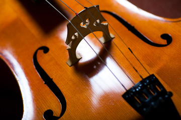 Violoncello closeup