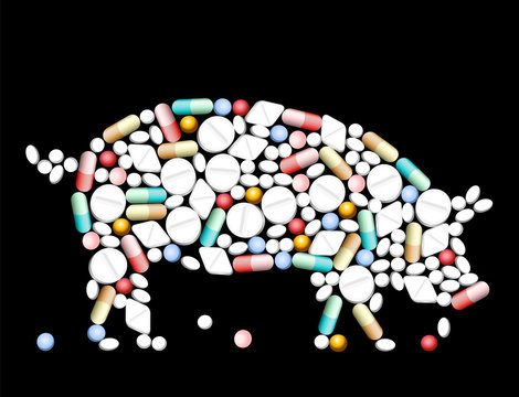 Tablets Pills Pig