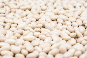 White Beans Closeup
