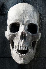 Obraz premium carving gravestone skull cemetery