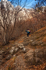 Fototapeta premium Hiker Backpack Forest Trail Autumn Leaves